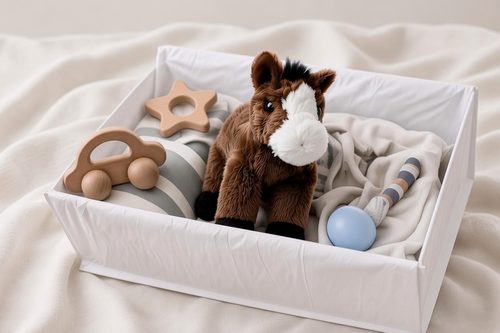 Baby Boy Gift Basket